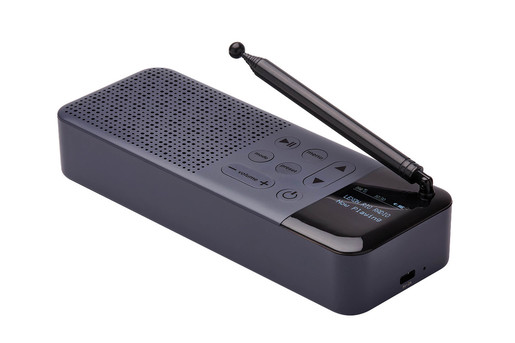Enceinte Bluetooth avec radio DAB+ «Tuner 2» JBL, Audio & hifi