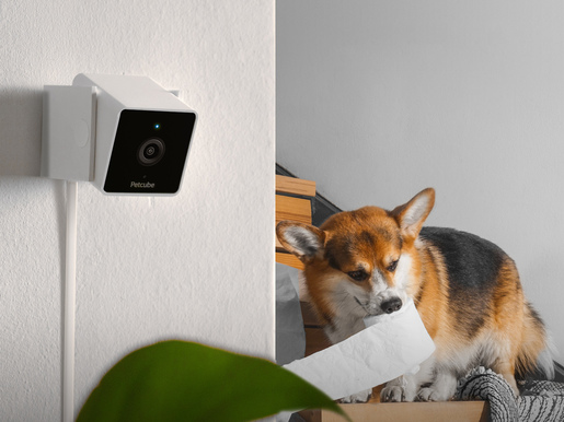 Petcube Cam - camera de surveillance sans fil pour animaux